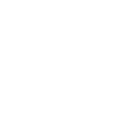 4.8/5 Google Rating